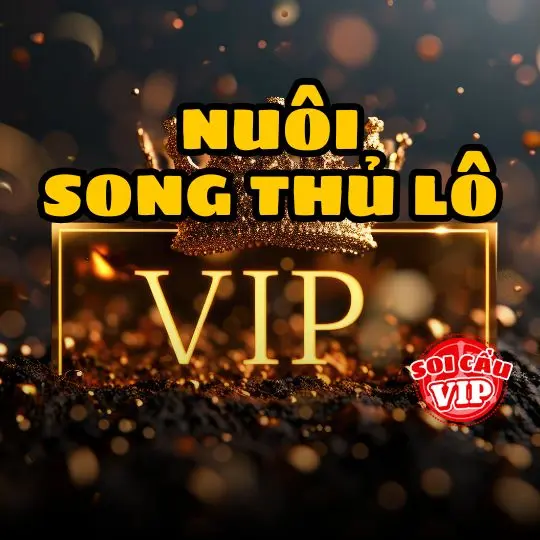 Nuôi song thủ lô khung 3 ngày VIP- Nuôi lô song thủ chuẩn