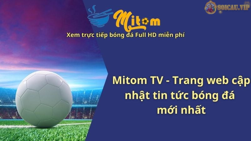 Mitom TV - Trang web cập nhật tin tức bóng đá mới nhất