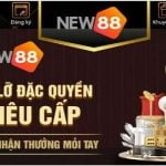 Những điểm cộng tạo thành ra sức hấp dẫn của New88