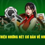 Giới thiệu những nét cơ bản 