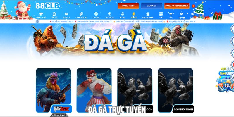 Đá gà tại đây cũng nổi tiếng với những trận chiến đỉnh cao