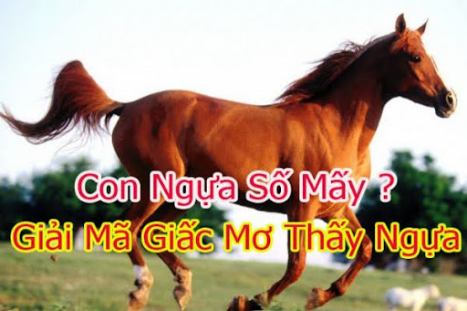 nghĩa của những giấc mơ về ngựa