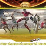Giới Thiệu Tổng Quan Về Danh Mục Thể Thao Sin88