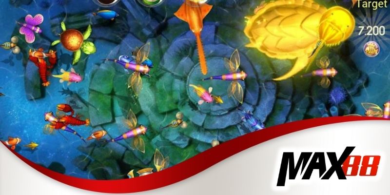 Chia sẻ kinh nghiệm