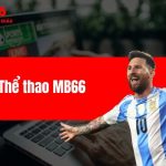 Thể thao MB66 - Update những sản phẩm hot nhất năm