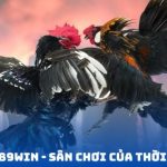 Đá gà 789WIN