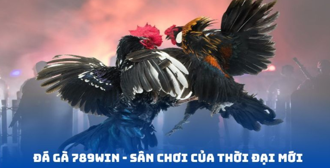 Đá gà 789WIN