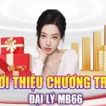 Giới thiệu chung về hợp tác đại lý MB66
