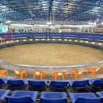 Đá gà trực tuyến 79King là gì và vì sao đang lên ngôi