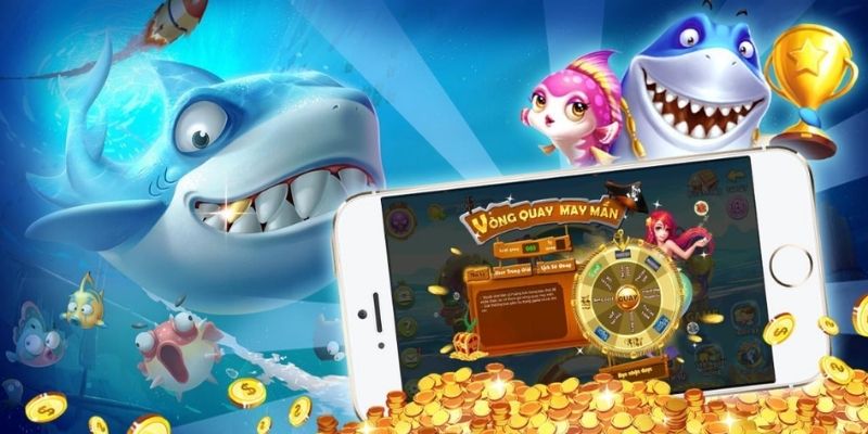 Quan sát kỹ hướng di chuyển và tốc độ của cá