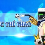 Giới thiệu tổng quan về sân chơi thể thao 8live