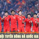 Những trận đấu đội tuyển bóng đá quốc gia Việt Nam nhận được sự quan tâm đông đảo của NHM nước nhà, nơi mọi người cùng dõi theo đồng hành cùng các cầu thủ.