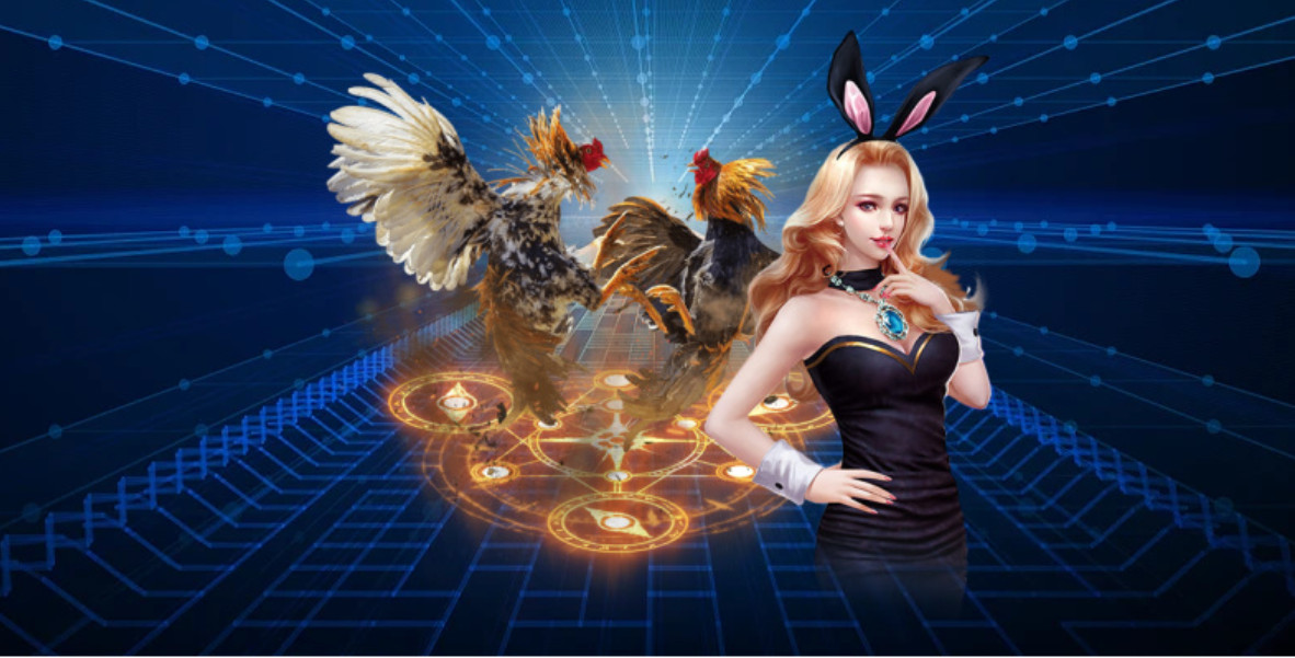 Đá Gà KG88 Là Gì?