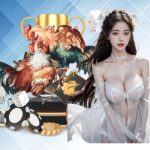 Giới Thiệu Về Đá Gà SIU88