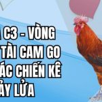 hình ảnh và âm thanh tái hiện đấu trường thật