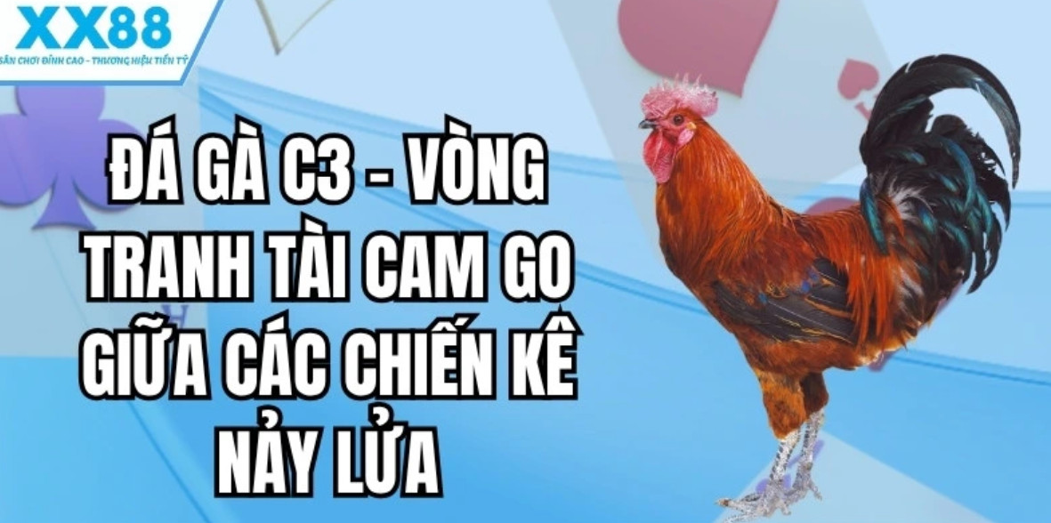 hình ảnh và âm thanh tái hiện đấu trường thật