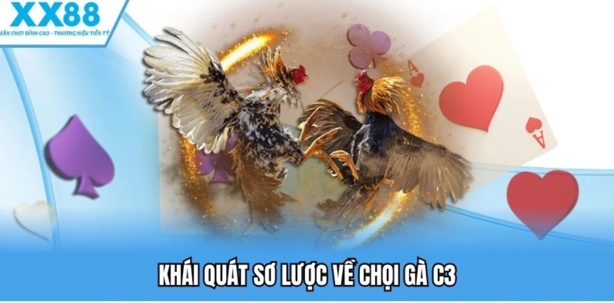 Đa dạng hình thức đá gà và kèo cược linh hoạt