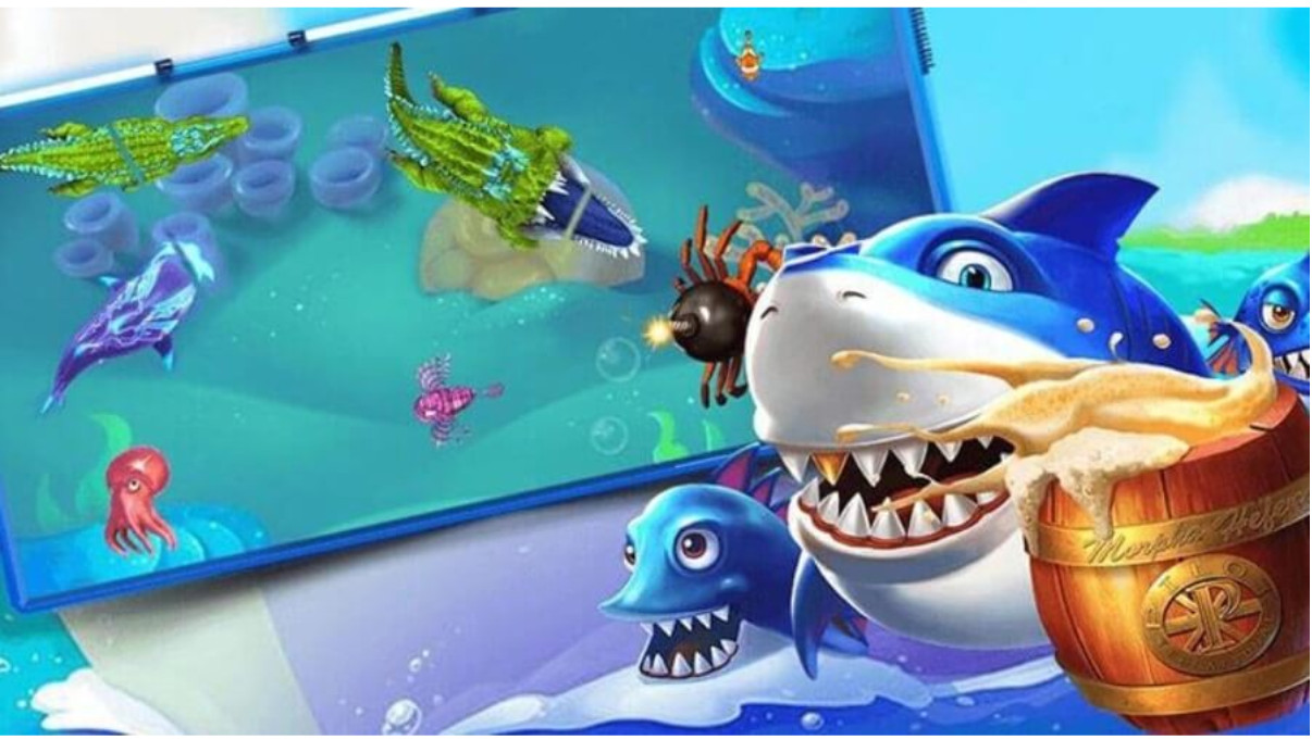 Quản trị hành trình: vốn, dữ liệu, tâm lý