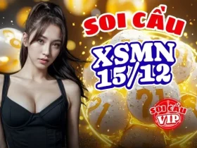 Soi cầu XSMN 15-12-2025 - TP.HCM - Đồng Tháp - Cà Mau